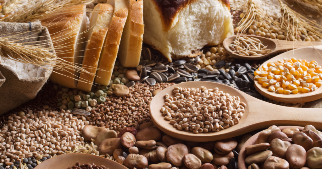 Grain and Seed Breads: Benefits Beyond Nutrition